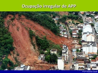 Profª Roberta Casali
Ocupação irregular de APPOcupação irregular de APP
 