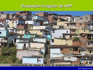 Profª Roberta Casali
Ocupação irregular de APPOcupação irregular de APP
Instabilidade de casas e falta de esgotamento sanitário
 