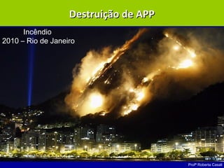 Profª Roberta Casali
Incêndio
2010 – Rio de Janeiro
Destruição de APPDestruição de APP
 