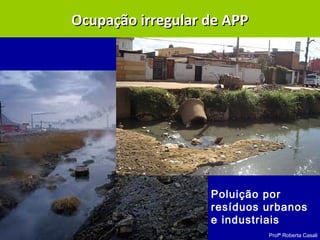 Profª Roberta Casali
Poluição por
resíduos urbanos
e industriais
Ocupação irregular de APPOcupação irregular de APP
 