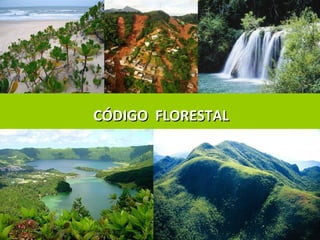 Profª Roberta Casali
CÓDIGO FLORESTALCÓDIGO FLORESTAL
 