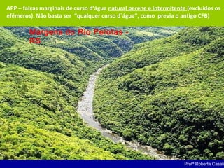 APP – faixas marginais de curso d’água natural perene e intermitente (excluídos os
efêmeros). Não basta ser “qualquer curso d`água”, como previa o antigo CFB)
Margens do Rio Pelotas -
RS
Profª Roberta Casali
 