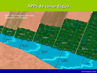 Profª Roberta Casali
APPs de curso dáguaAPPs de curso dágua
 