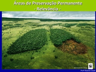 Profª Roberta Casali
Áreas de Preservação PermanenteÁreas de Preservação Permanente
- Relevância -- Relevância -
 