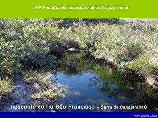 Profª Roberta Casali
APP – entorno de nascentes e olhos d´água perenes
nascente do rio São Francisco – Serra da Canastra/MG
 
