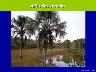 Profª Roberta Casali
APPs das veredasAPPs das veredas
 