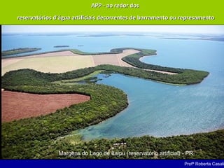 APP - ao redor dosAPP - ao redor dos
reservatórios d’água artificiais decorrentes de barramento ou represamentoreservatórios d’água artificiais decorrentes de barramento ou represamento
Margens do Lago de Itaipu (reservatório artificial) - PR
Profª Roberta Casali
 