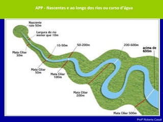 Profª Roberta Casali
APP - Nascentes e ao longo dos rios ou curso d’água
 