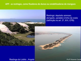 APP - as restingas, como fixadoras de dunas ou estabilizadoras de mangues
Restinga: depósito arenoso,
alongado, paralelo à linha da costa
(definição no art. 3º, XVI, CFB)
Restinga do Lobito , Angola Profª Roberta Casali
 