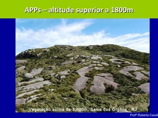 Vegetação acima de 1.800m, Serra dos Órgãos - RJ
Profª Roberta Casali
APPs – altitude superior a 1800mAPPs – altitude superior a 1800m
 