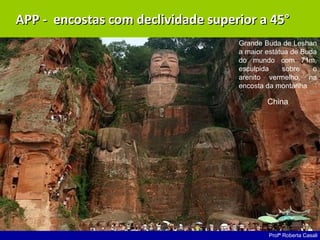 Profª Roberta Casali
APP - encostas com declividade superior a 45°APP - encostas com declividade superior a 45°
China
Grande Buda de Leshan
a maior estátua de Buda
do mundo com 71m,
esculpida sobre o
arenito vermelho, na
encosta da montanha
 