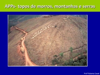 Profª Roberta Casali
APPs- topos de morros, montanhas e serrasAPPs- topos de morros, montanhas e serras
 