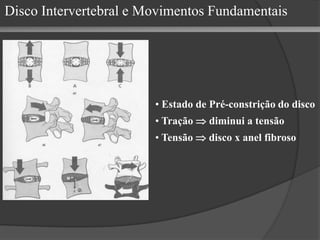 Estado de Pré-constrição do disco Tração    diminui a tensão Tensão    disco x anel fibroso Disco Intervertebral e Movimentos Fundamentais 