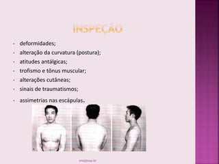 • deformidades;
• alteração da curvatura (postura);
• atitudes antálgicas;
• trofismo e tônus muscular;
• alterações cutâneas;
• sinais de traumatismos;
• assimetrias nas escápulas.
smaj@usp.br
 