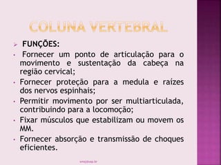  FUNÇÕES:
• Fornecer um ponto de articulação para o
movimento e sustentação da cabeça na
região cervical;
• Fornecer proteção para a medula e raízes
dos nervos espinhais;
• Permitir movimento por ser multiarticulada,
contribuindo para a locomoção;
• Fixar músculos que estabilizam ou movem os
MM.
• Fornecer absorção e transmissão de choques
eficientes.
smaj@usp.br
 