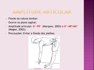  Flexão da coluna lombar:
• Ocorre no plano sagital;
• Amplitude articular: 0°-95° (Marques, 2003) e 0°-40º/60°
(Magee, 2002);
• Precauções: Evitar a flexão dos joelhos.
smaj@usp.br
 
