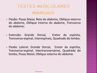  Flexão: Psoas Maior, Reto do abdome, Oblíquo externo
do abdome, Oblíquo interno do abdome, Transverso
do abdome;
 Extensão: Grande Dorsal, Eretor da espinha,
Transverso-espinal, Interespinais, Quadrado do lombo;
 Flexão Lateral: Grande Dorsal, Eretor da espinha,
Transverso-espinal, Intertransversários, Quadrado do
lombo, Psoas Maior, Oblíquo externo do abdome.
smaj@usp.br
 
