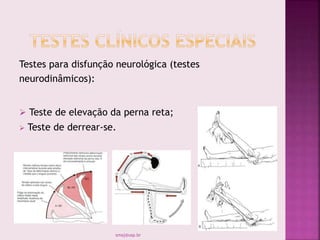 Testes para disfunção neurológica (testes
neurodinâmicos):
 Teste de elevação da perna reta;
 Teste de derrear-se.
smaj@usp.br
 