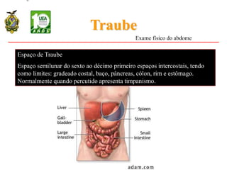 Traube
Espaço de Traube
Espaço semilunar do sexto ao décimo primeiro espaços intercostais, tendo
como limites: gradeado costal, baço, pâncreas, cólon, rim e estômago.
Normalmente quando percutido apresenta timpanismo.
T6-T12
Exame físico do abdome
 