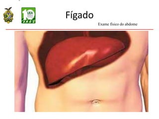 Fígado
Exame físico do abdome
 
