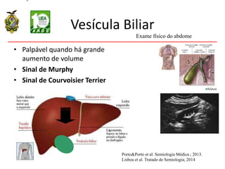 Vesícula Biliar
• Palpável quando há grande
aumento de volume
• Sinal de Murphy
• Sinal de Courvoisier Terrier
Exame físico do abdome
Porto&Porto et al. Semiologia Médica ; 2013.
Lisboa et al. Tratado de Semiologia; 2014
 