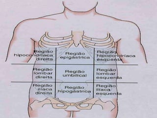 Exame físico abdominal
Sequência do exame:
1) Inspeção:
Parede anterior
Divisao do abdome
 