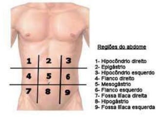 Exame físico abdominal
Sequência do exame:
1) Inspeção:
Parede anterior
Divisao do abdome
 