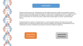 Qualquer estímulo da natureza – dependendo da sua intensidade, do tempo de atuação e da capacidade de reação do
organismo (que envolve também o patrimônio genético) – pode constituir uma agressão. Contra esta, o organismo monta
respostas variadas, procurando defender-se ou adaptar-se. Muitas vezes, o indivíduo adapta-se a essa situação, com
pouco ou nenhum dano. Em muitos casos, porém, surgem lesões variadas, agudas ou crônicas, responsáveis pelas
doenças.
As agressões podem se originar no ambiente externo ou a partir do próprio organismo. De modo muito resumido,
agressões podem ser provocadas por agentes físicos, químicos e biológicos, por alterações na expressão gênica ou por
modificações nutricionais, metabólicas ou dos próprios mecanismos de defesa do organismo.
AGRESSÕES
AGRESSÕES
EXTERNAS?
AGRESSÕES
INTERNAS?
 