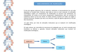 O alvo dos agentes agressores são as moléculas, sobretudo as macromoléculas de cuja ação
dependem as funções vitais. Portanto, toda lesão se inicia no nível molecular. As alterações
morfológicas surgem em consequência de modificações na estrutura das membranas, do
citoesqueleto, do núcleo ou de outros componentes citoplasmáticos, além do acúmulo de
substâncias dentro ou fora das células. As lesões celulares resultam em lesões nos órgãos e
sistemas funcionais. Qualquer que seja a sua natureza, a ação dos agentes agressores se faz por
dois mecanismos:
(1) ação direta, por meio de alterações moleculares que se traduzem em modificações
morfológicas;
(2) ação indireta, por intermédio de mecanismos de adaptação que, ao serem acionados para
neutralizar ou eliminar a agressão, induzem alterações moleculares que resultam em
modificações morfológicas..
MECANISMOS DE AGRESSÃO
 