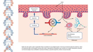 Ações do calor sobre a pele. A agressão direta na epiderme causa degeneração e necrose por desnaturação de proteínas; sobre
os mastócitos (M) e terminações nervosas (N), induz a liberação de mediadores que resultam em reação inflamatória; atuando
na microcirculação, lesa o endotélio e provoca trombose, causando isquemia, anóxia e necrose da pele.
 