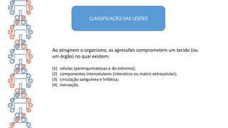 CLASSIFICAÇÃO DAS LESÕES
Ao atingirem o organismo, as agressões comprometem um tecido (ou
um órgão) no qual existem:
(1) células (parenquimatosas e do estroma);
(2) componentes intercelulares (interstício ou matriz extracelular);
(3) circulação sanguínea e linfática;
(4) inervação.
 