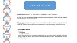 CLASSIFICAÇÃO DAS LESÕES
Lesões celulares podem ser separadas em dois grupos: letais e não letais.
As lesões não letais são aquelas em que as células continuam vivas, podendo ocorrer retorno ao estado de
normalidade depois de cessada a agressão.
As lesões letais são representadas pela necrose (morte celular seguida de autólise), pela apoptose (morte
celular não seguida de autólise) e por outros tipos de morte celular reconhecidos mais recentemente.
Letalidade X Não letalidade
- Qualidade
- à intensidade
- à duração da agressão
- estado funcional ou ao tipo de célula atingida. Dependendo desses fatores, uma mesma agressão pode
provocar lesão não letal em uma célula e causar morte em outro tipo celular. Os exemplos de lesão não
letal são muitos.
 