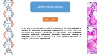 CLASSIFICAÇÃO DAS LESÕES
- De um lado, as agressões podem modificar o metabolismo das células, induzindo o
acúmulo de substâncias intracelulares (degenerações), ou podem alterar os
mecanismos que regulam a proliferação e a diferenciação celular (originando
hipotrofias, hipertrofias, hiperplasias, hipoplasias, metaplasias, displasias e
neoplasias). Outras vezes, acumulam-se nas células pigmentos endógenos ou
exógenos, constituindo as pigmentações.
NÃO LETAIS
 