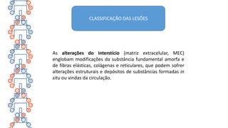 CLASSIFICAÇÃO DAS LESÕES
As alterações do interstício (matriz extracelular, MEC)
englobam modificações da substância fundamental amorfa e
de fibras elásticas, colágenas e reticulares, que podem sofrer
alterações estruturais e depósitos de substâncias formadas in
situ ou vindas da circulação.
 
