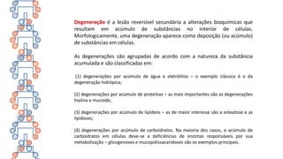 Degeneração é a lesão reversível secundária a alterações bioquímicas que
resultam em acúmulo de substâncias no interior de células.
Morfologicamente, uma degeneração aparece como deposição (ou acúmulo)
de substâncias em células.
As degenerações são agrupadas de acordo com a natureza da substância
acumulada e são classificadas em:
(1) degenerações por acúmulo de água e eletrólitos – o exemplo clássico é o da
degeneração hidrópica;
(2) degenerações por acúmulo de proteínas – as mais importantes são as degenerações
hialina e mucoide;
(3) degenerações por acúmulo de lipídeos – as de maior interesse são a esteatose e as
lipidoses;
(4) degenerações por acúmulo de carboidratos. Na maioria dos casos, o acúmulo de
carboidratos em células deve-se a deficiências de enzimas responsáveis por sua
metabolização – glicogenoses e mucopolissacaridoses são os exemplos principais.
 