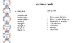 ATIVIDADE DE FIXAÇÃO
1) CONCEITUE:
- Propedêutica
- Fisiopatologia
- Etiopatogênese
- Displasia
- Metaplasia
- Hiperplasia
- Neoplasia
- Hipertrofia
2) O que é?
- Denegeração Hidrópica
- Denegeneração Gordurosa
- Mecanismo de agressão
- Lesão não letal
- Lesão letal
- Infecção
- Inflamação
 