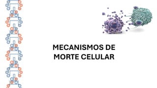 MECANISMOS DE
MORTE CELULAR
 