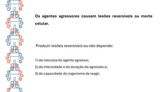 Os agentes agressores causam lesões reversíveis ou morte
celular.
Produzir lesões reversíveis ou não depende:
1) da natureza do agente agressor,
2) da intensidade e da duração da agressão e;
3) da capacidade do organismo de reagir.
 