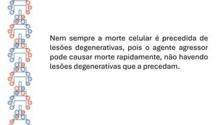 Nem sempre a morte celular é precedida de
lesões degenerativas, pois o agente agressor
pode causar morte rapidamente, não havendo
lesões degenerativas que a precedam.
 