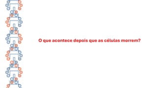 O que acontece depois que as células morrem?
 