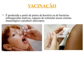 VACINAÇÃO
• É produzida a partir de partes da bactéria ou de bactérias
enfraquecidas inativas, capazes de estimular nosso sistema
imunológico a produzir anticorpos.
 