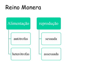 Reino Monera
 