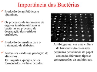 Importância das Bactérias
 Produção de antibióticos e
vitaminas.
 Os processos de tratamento de
esgotos também utilizam as
bactérias no processo de
degradação dos resíduos
orgânicos.
 Produção de insulina para o
tratamento da diabetes.
 Podem ser usadas na produção de
alimentos .
Ex: iogurtes, queijos, leites
fermentados, vinho e bebidas.
Antibiograma: em uma cultura
de bactérias são colocados
pequenos pedacinhos de papel
contendo diferentes tipos e
concentrações de antibióticos.
 