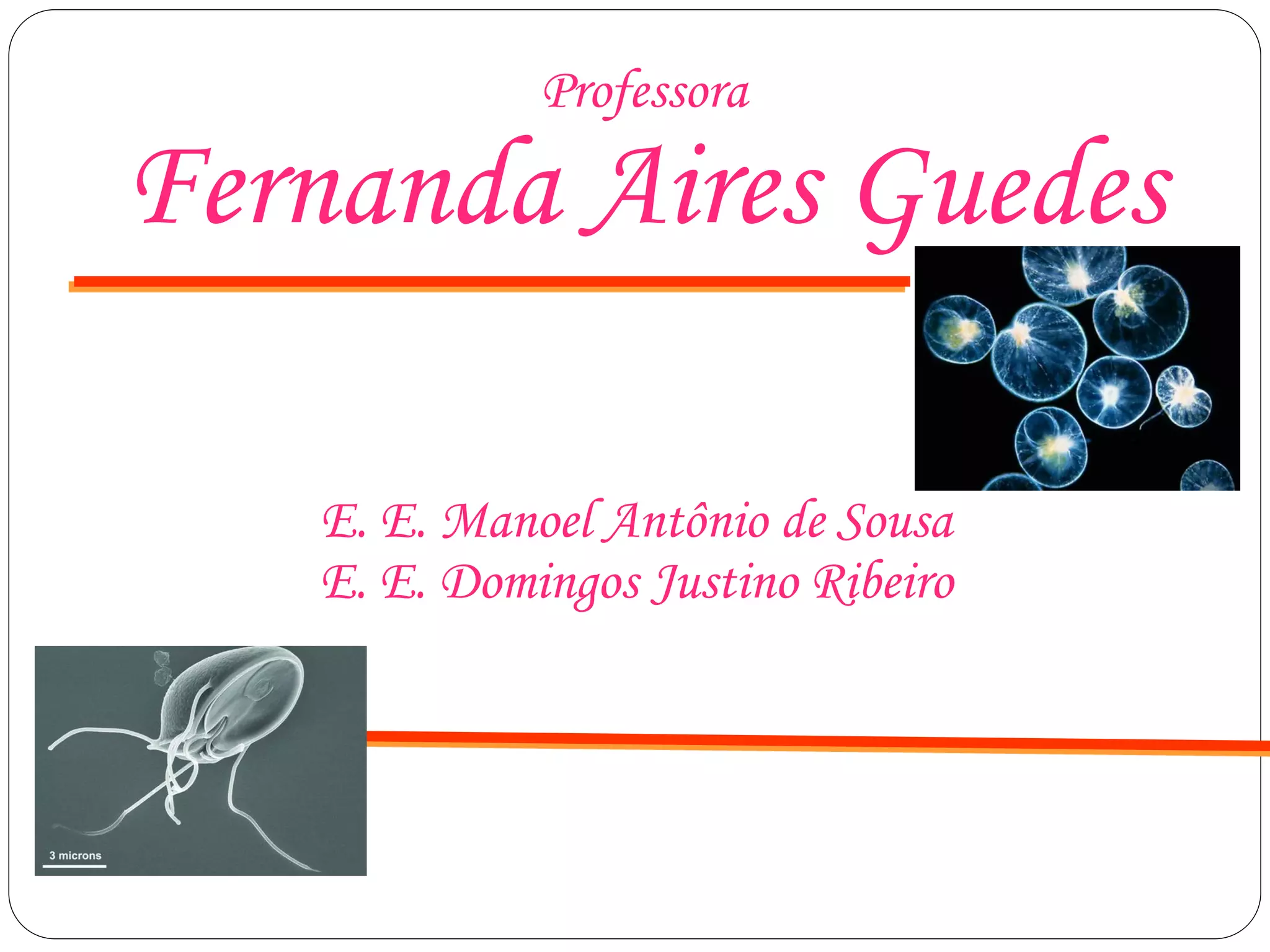 Professora
Fernanda Aires Guedes
E. E. Manoel Antônio de Sousa
E. E. Domingos Justino Ribeiro
 