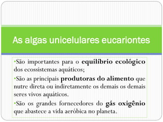 •São importantes para o equilíbrio ecológico
dos ecossistemas aquáticos;
•São as principais produtoras do alimento que
nutre direta ou indiretamente os demais os demais
seres vivos aquáticos.
•São os grandes fornecedores do gás oxigênio
que abastece a vida aeróbica no planeta.
As algas unicelulares eucariontes
 
