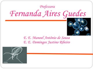 Professora
Fernanda Aires Guedes
E. E. Manoel Antônio de Sousa
E. E. Domingos Justino Ribeiro
 