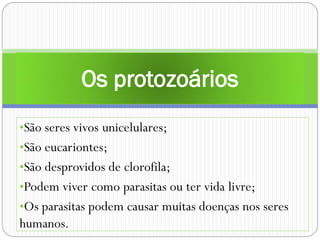 •São seres vivos unicelulares;
•São eucariontes;
•São desprovidos de clorofila;
•Podem viver como parasitas ou ter vida livre;
•Os parasitas podem causar muitas doenças nos seres
humanos.
Os protozoários
 