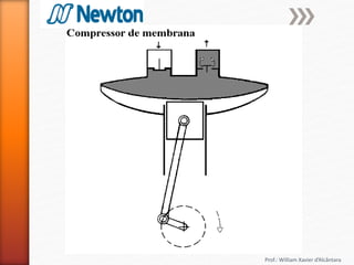 Prof.: William Xavier d’Alcântara
 