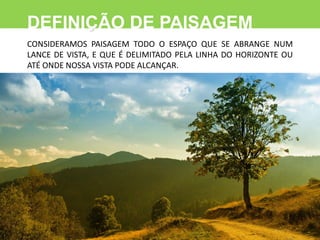 AULA CONCEITOS DE PAISAGEM.pdf