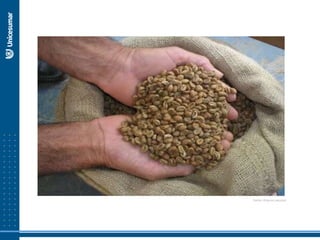 Fonte: Arquivo pessoal
 